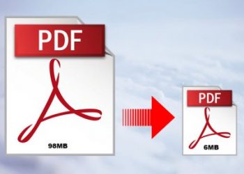 pdf