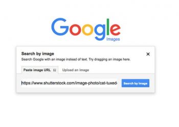 Reverse Image Search