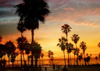 Neighborhoods in Los Angeles: Where do You Visit?