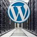 wordpress-hosting