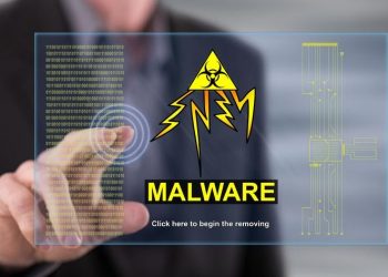 Malware‌ ‌101 ‌Essentials‌ ‌You‌ ‌Will‌ ‌Need‌
