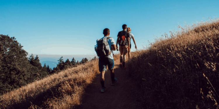 Top 6 Reasons to Attend a Photo Walk