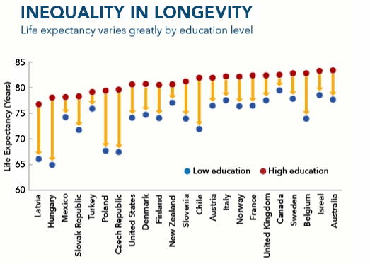 imf-education