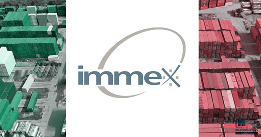Why start setup at Mexico using the Immex program?