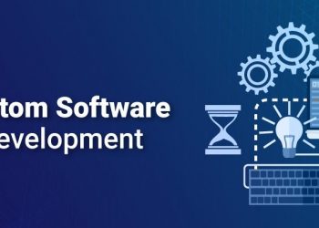 Top Medical Care Custom Software Developments