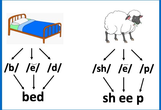 What You Need to Know About Orthographic Mapping