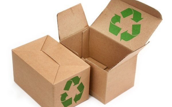 Best Ways To Stay Eco-Friendly While Moving