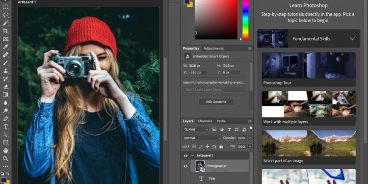 Factors to Consider When Choosing a Digital Art Software