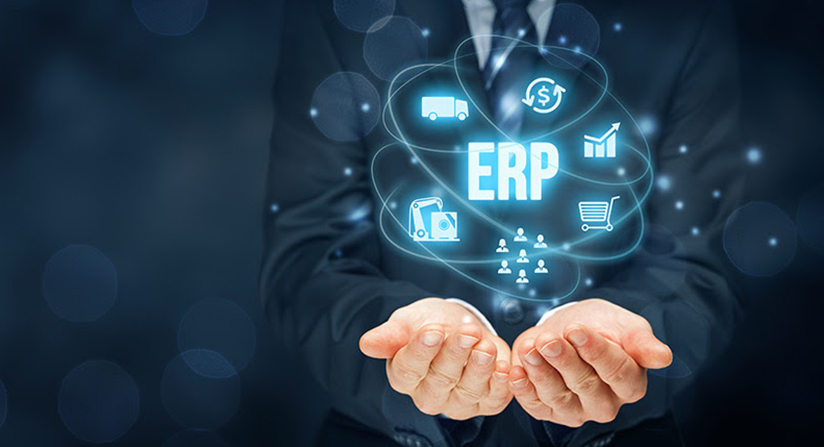 Steps for Successful Organizational ERP Process