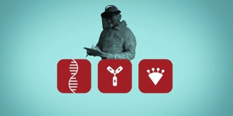 What Are The Different Types Of Covid Tests You Can Have?