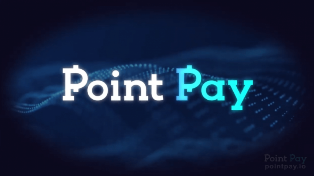 PointPay's CEO Views-