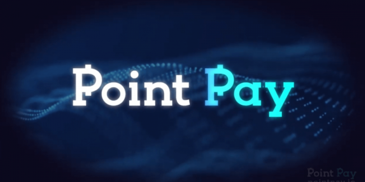 PointPay's CEO Views-