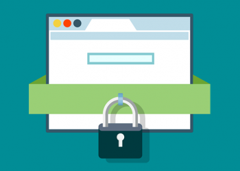 Web Security Vulnerabilities--