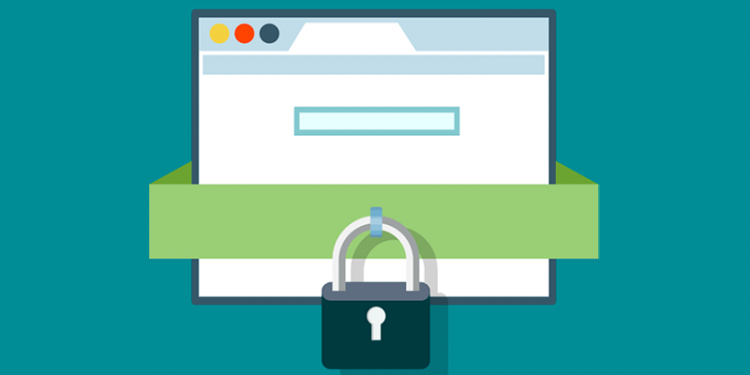 Web Security Vulnerabilities--