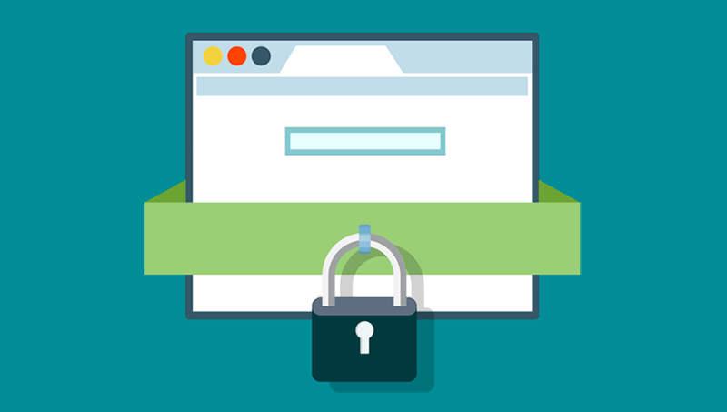 Web Security Vulnerabilities--