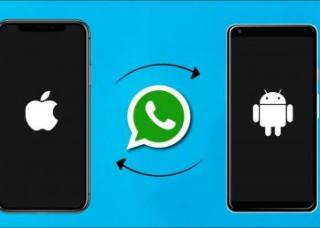 How To Transfer WhatsApp Data From Android To iOS