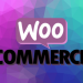 An Advanced Guide to Boosting the Sales on Your WooCommerce Store