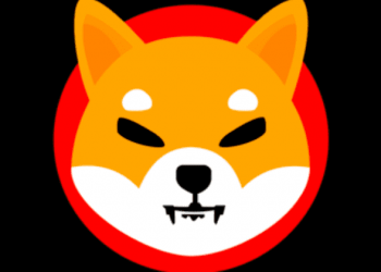 Shiba Inu Coin Exchange