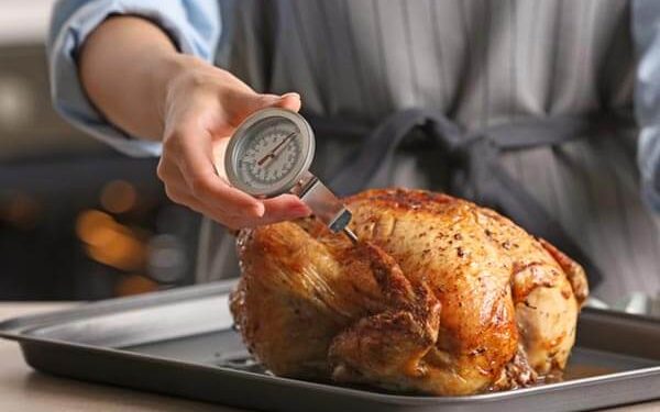 5 Benefits Of Using A Thermometer While Cooking