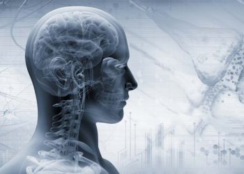 Vagus Nerve- The Function & The Benefits Of Stimulation