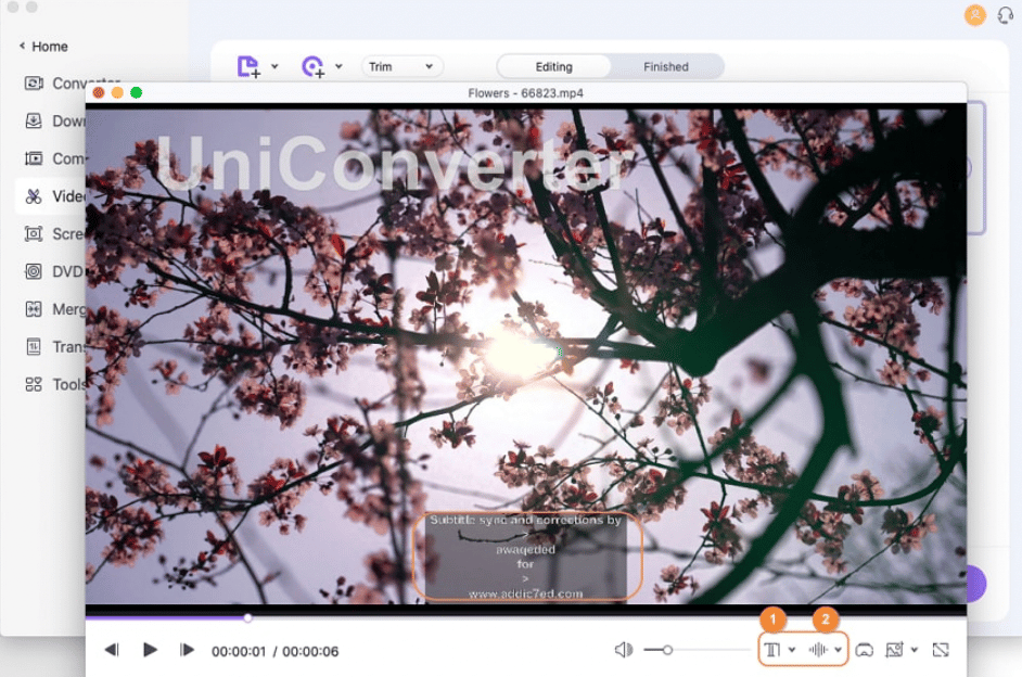 Review the AI powered features In wondershare uniconverter 14 for Mac