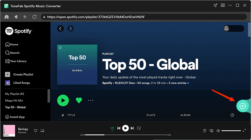 Add Spotify Playlist to Convert