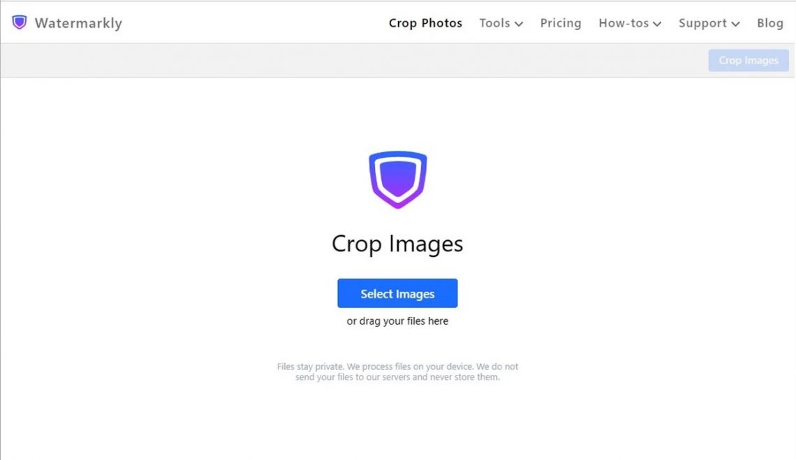 Mastering the Crop Tool Online Photo Editing