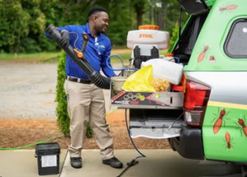 How Smart Mosquito Control Is Changing Outdoor Pest Prevention